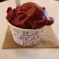 Brambleberry sorbet at Duck Island Ice Cream in Wellington