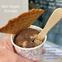 Salted Chocolate brownie, with PB shell and chocolate sprinkles  at Duck Island Ice Cream in Wellington