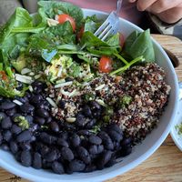 Vegan bowl at De Leon Latin Cocina in St Augustine