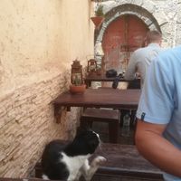Outdoor sittings : Kitty company :) at La Triskalla in Essaouira