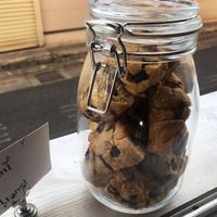 Vegan and Gluten Free Chocolate Chip Scone! Very moist and delicious. at PLANT PLANET in Tokyo