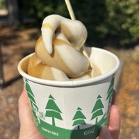 Pumpkin and maple twist ice cream with caramel sauce at Divine Treasures in Manchester