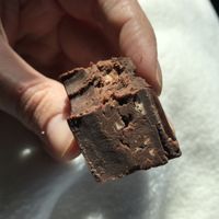 Hazelnut Fudge at Divine Treasures in Manchester
