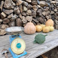 Old fashioned- so beautiful  at Eco-Finca de Karin in Tenerife