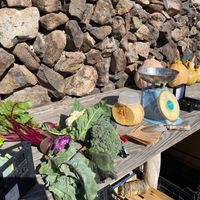 Produce and scale  at Eco-Finca de Karin in Tenerife