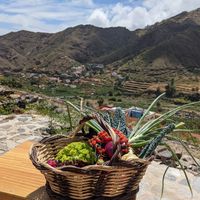 Our basket in front of the fantastic view from Karin's finca into the valley at Eco-Finca de Karin in Tenerife