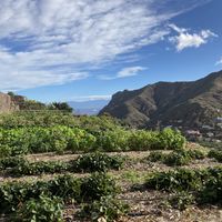 Babylon  at Eco-Finca de Karin in Tenerife