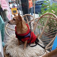   at Pura Vida in Bogota