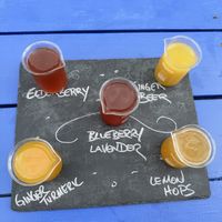 Kombucha flight (plus ginger beer)  at Farmacy+Fermentary in Charlottetown