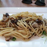 Pasta with mushrooms at Bono & Vers in Leiden