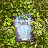 There is a large, beautiful living plant wall located in the drop-in work space. at Cuppa Tahoe in South Lake Tahoe