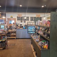 Lots of things to look at at Cuppa Tahoe in South Lake Tahoe