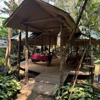   at Themi Living Garden in Arusha