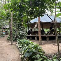   at Themi Living Garden in Arusha