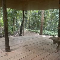   at Themi Living Garden in Arusha