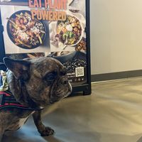 Plant powered at Copper Branch in Nashville