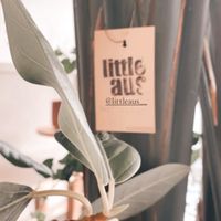 Lovely interior at Little Aus - 리틀오스 in Busan