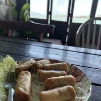 Spring rolls!  at Tamachat Vegan Food - ธรรมชาติ in Koh Samui