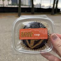   at ingrained in Chicago