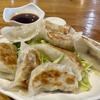 Pot stickers  at Veggie Village in Scottsdale