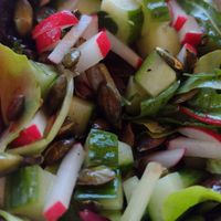 All the veggies, seeds and lettuce in the fresh salad at Beesechurgers in The Hague