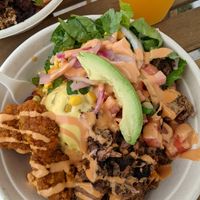 Chicharrón and jackfruit pernil at Boca Fresca in Winter Park