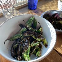 Shishitos  at Co-op Ramen in Bentonville