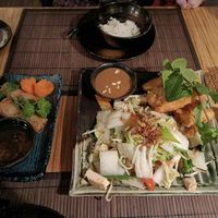 Spring rolls, veg, tofu & tempura veg with rice. at Quan Tre in Wiesbaden