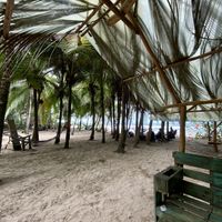 Vibe at Playa 506 in Puerto Viejo De Talamanca