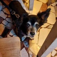  at Vegamore in Milan