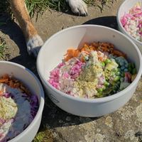 Bowl of the day in reusable bowl  at Resi Lecker in Dusseldorf