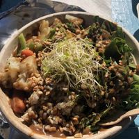 Buddha bowl at Earth Aloha Eats - Kahului in Kahului