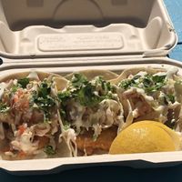 Vegan fish tacos at Earth Aloha Eats - Kahului in Kahului