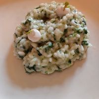 Risotto at Altatto in Milan