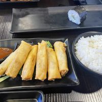 Spring rolls and steamed ricee  at OKAMI in Pakenham