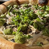   at Pura Vita in Redondo Beach