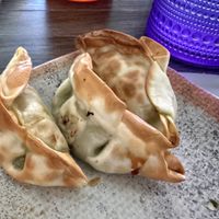 Edamame gluten free dumplings   at Counter Culture Beachside in Vero Beach