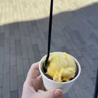 chocolate and mango   at Hanna's Creamery & Cafe in San Diego