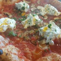 Funghi pizza (vg) at Up North Pizza Co in South Shields