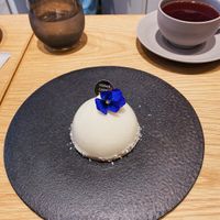 Yuzu cake  at VeganCafe Sister in Osaka