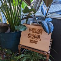 Inside the restaurant at Pure Soul in Durham