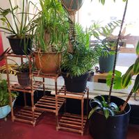  at Pure Soul in Durham