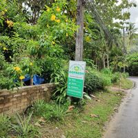  at GoFresh in Phuket