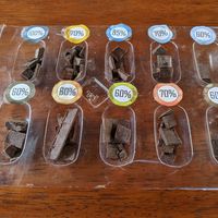 All-vegan samples. at Yumbos Chocolate in Mindo