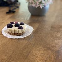 Vegan Cheesecake  at Bunny and Clyde's Corner Cafe and Market in Salida