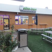 View  at Olive Tree in Farmington