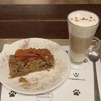 Carrot Cake and Catpuccino at Adrianuzca's Cat Café in Punta Del Este