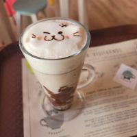  at Adrianuzca's Cat Café in Punta Del Este