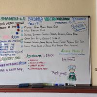  at Shangri-la Buddha in Albany