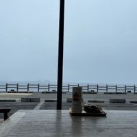 View  at Tropical Hideaway Cafe in Jeju